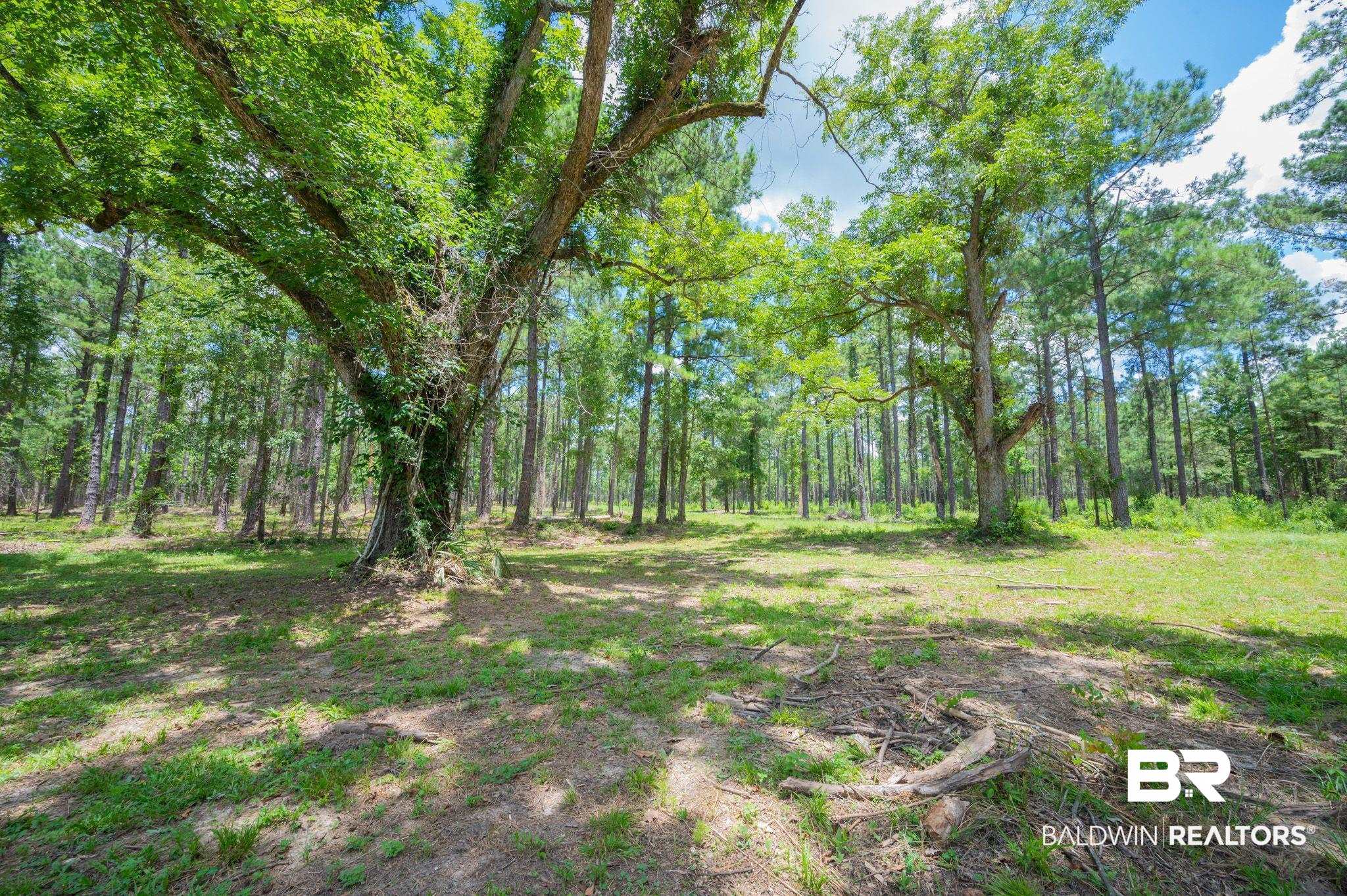 0 Hurricane Road Bay Minette, AL 36507 - Photo 8 of 30