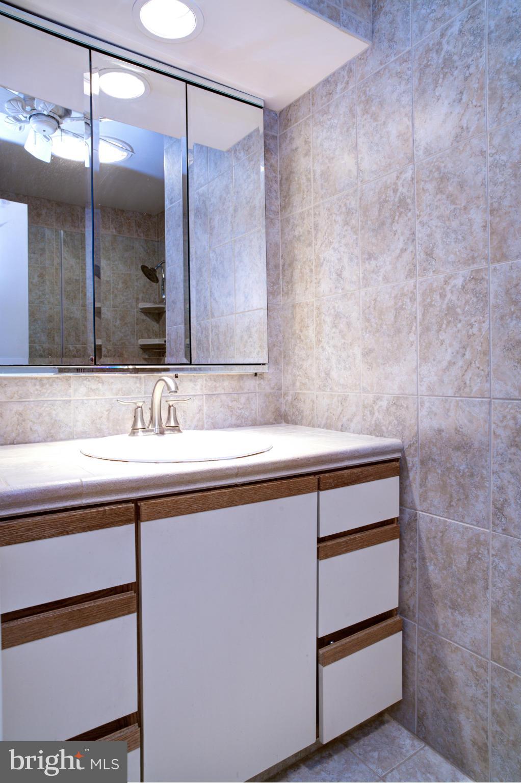 1617 Inlet Court Reston, VA 20190 - Photo 12 of 24 Master Bath