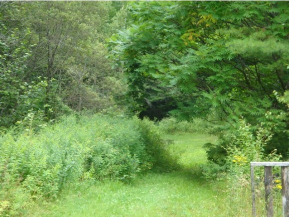 439 Williams Hill Road Grafton, NH 03240 - Photo 2 of 12 Gallery Image 2