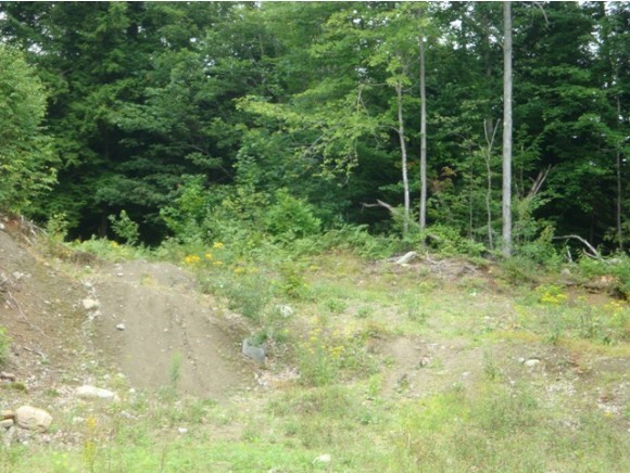 439 Williams Hill Road Grafton, NH 03240 - Photo 5 of 12 Gallery Image 5