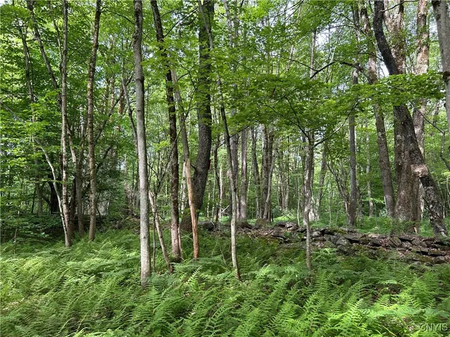 $209,500 | Bartley Road, Williamstown, NY 13493