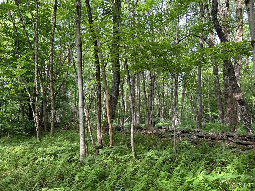 Bartley Road Williamstown, NY 13493 - Photo 13 of 13