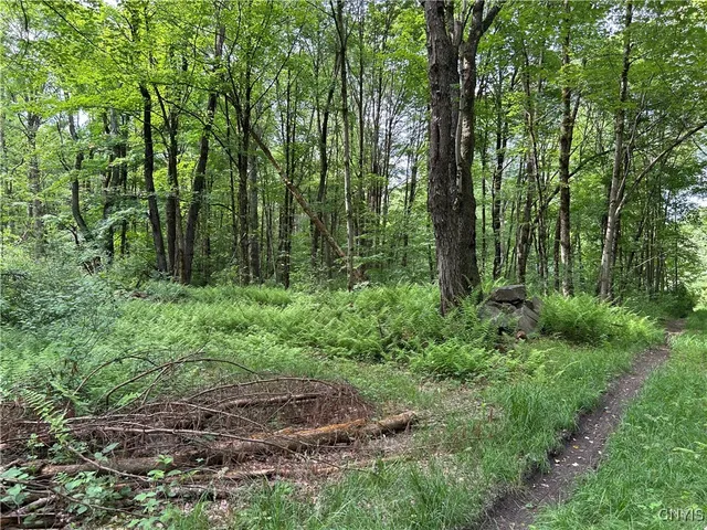 $209,500 | Bartley Road, Williamstown, NY 13493