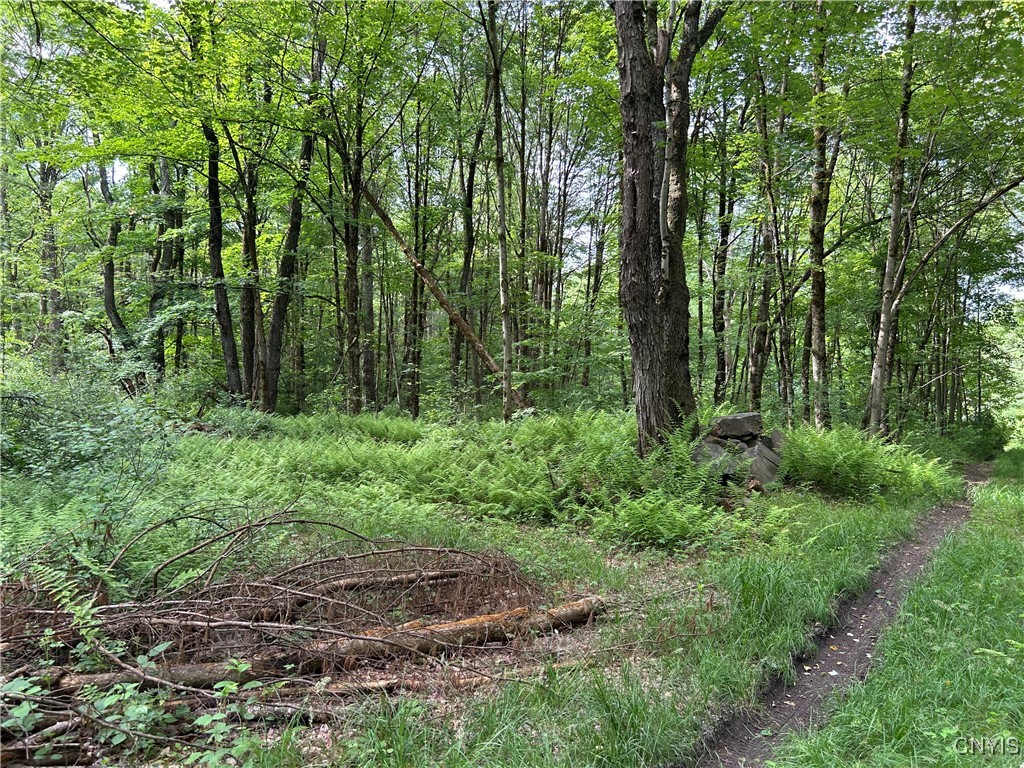 Bartley Road Williamstown, NY 13493 - Photo 8 of 13