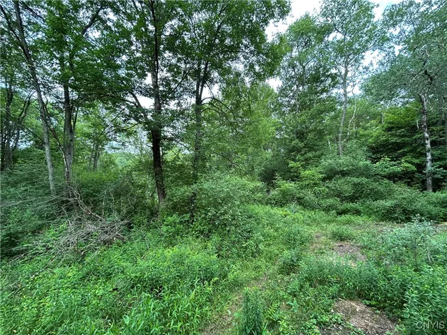 $209,500 | Bartley Road, Williamstown, NY 13493