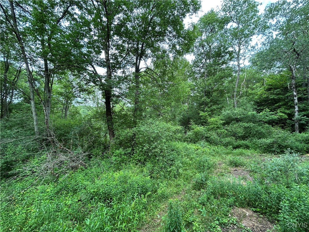 Bartley Road Williamstown, NY 13493 - Photo 9 of 13