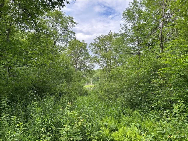 $209,500 | Bartley Road, Williamstown, NY 13493