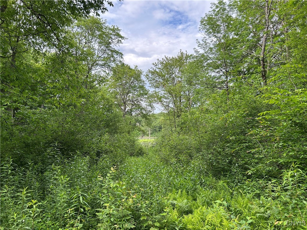 Bartley Road Williamstown, NY 13493 - Photo 10 of 13