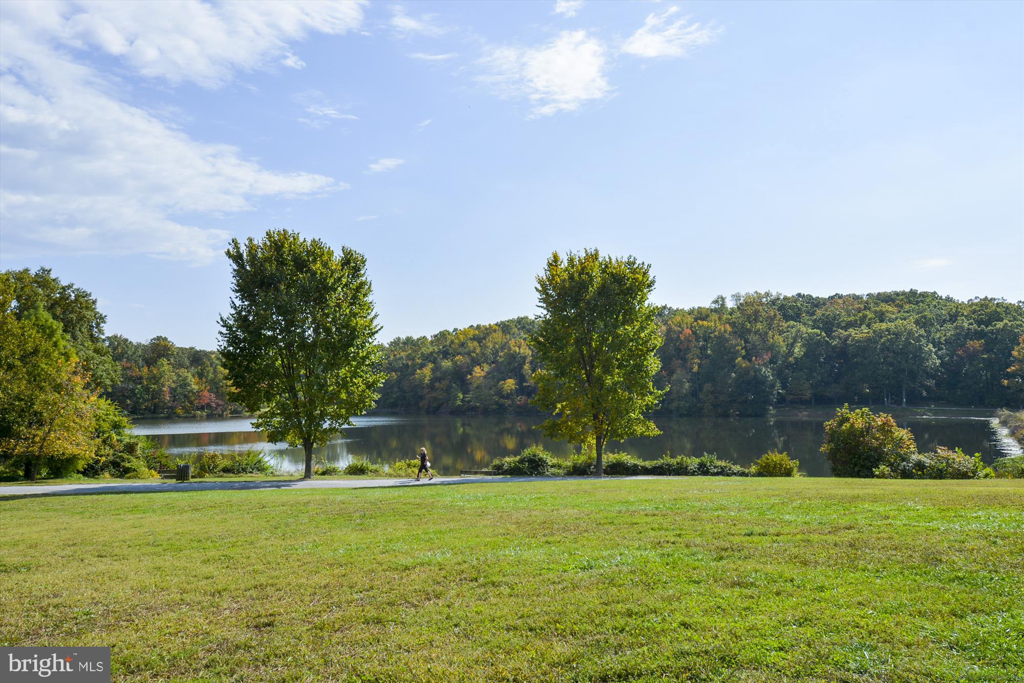 4 G Crescent Road Greenbelt, MD 20770 - Photo 51 of 51 Buddy Attic Park Lake