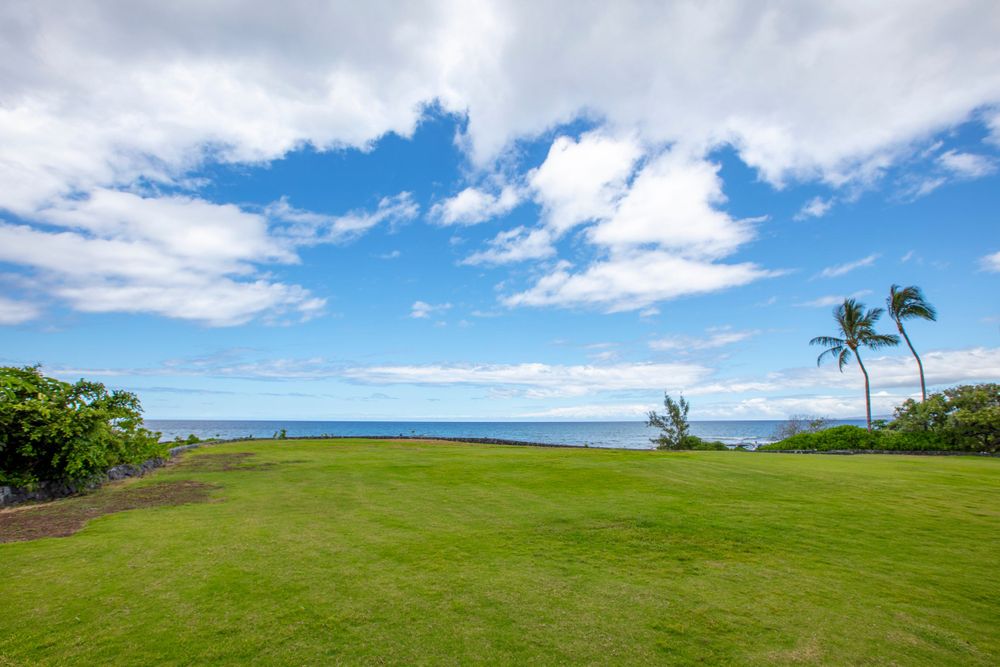 10 Naupaka Place Waikoloa, HI 96738 - Photo 4 of 10 a view of a golf course with an trees