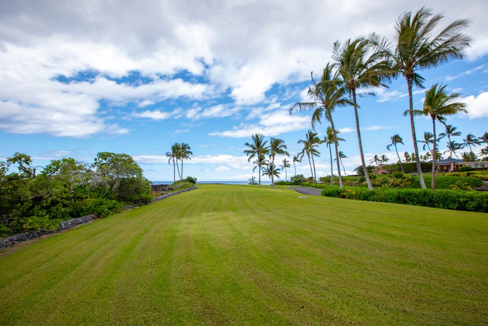 10 Naupaka Place Waikoloa, HI 96738 - Photo 6 of 10 a view of a backyard