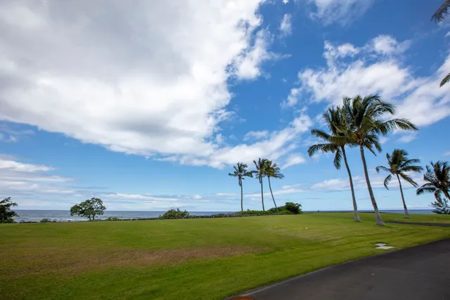 a view of a golf course with a garden