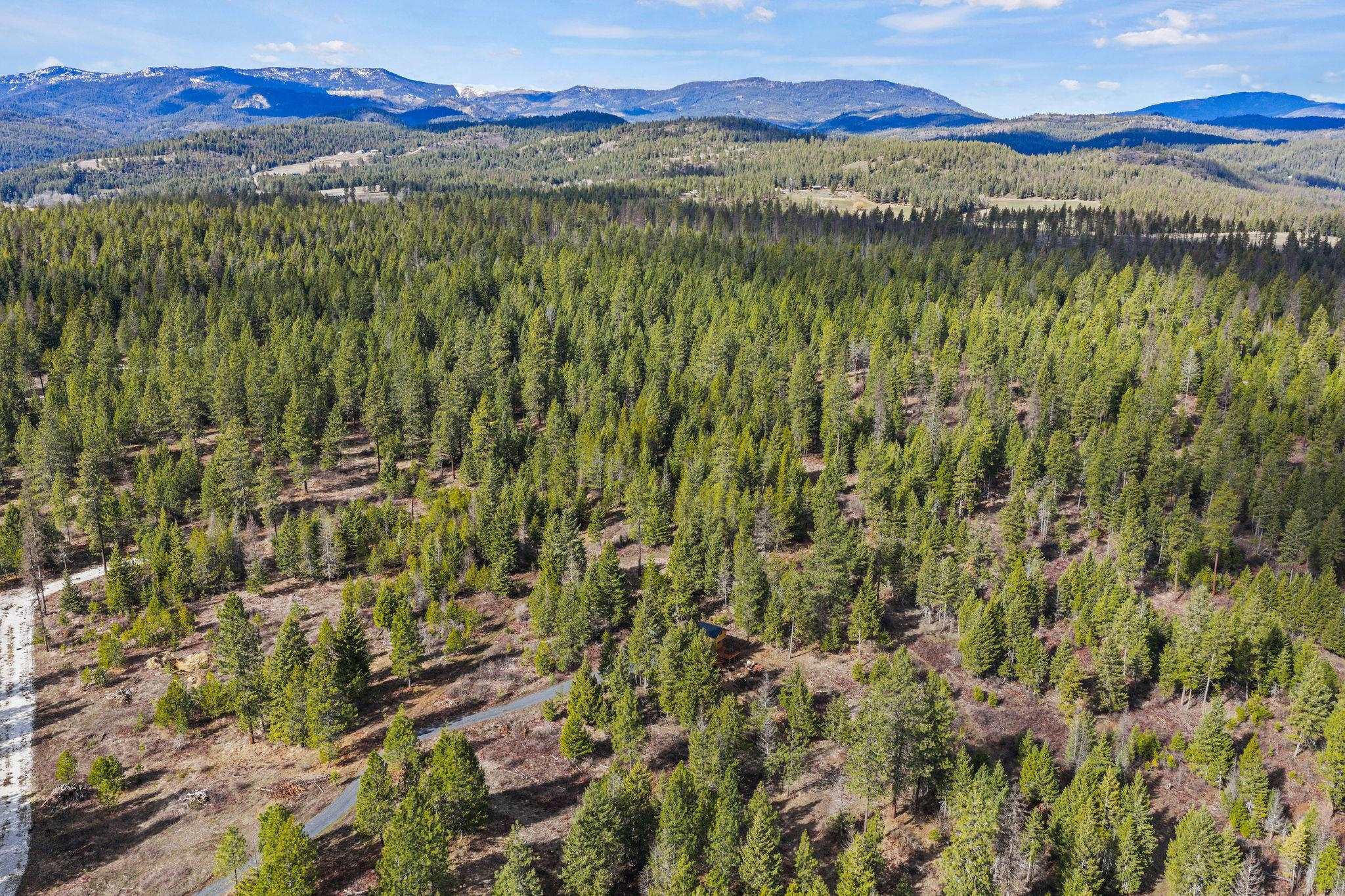 3142 Bren Holly Way Valley Valley, WA 99181 - Photo 28 of 37