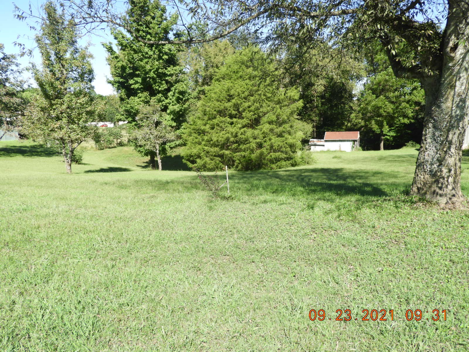 418 Munro Road Pulaski, TN 38478 - Photo 6 of 19