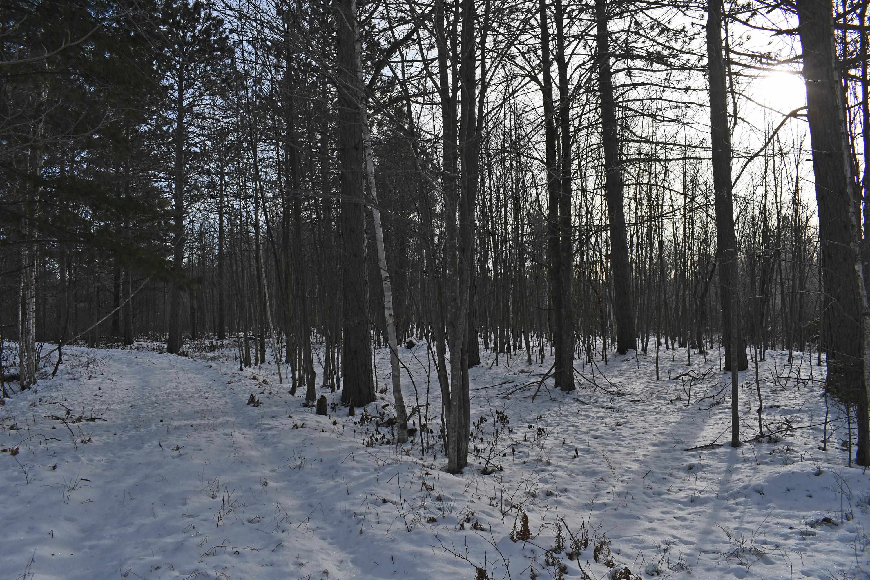 0 South Barlow Road Mikado, MI 48745 - Photo 9 of 28