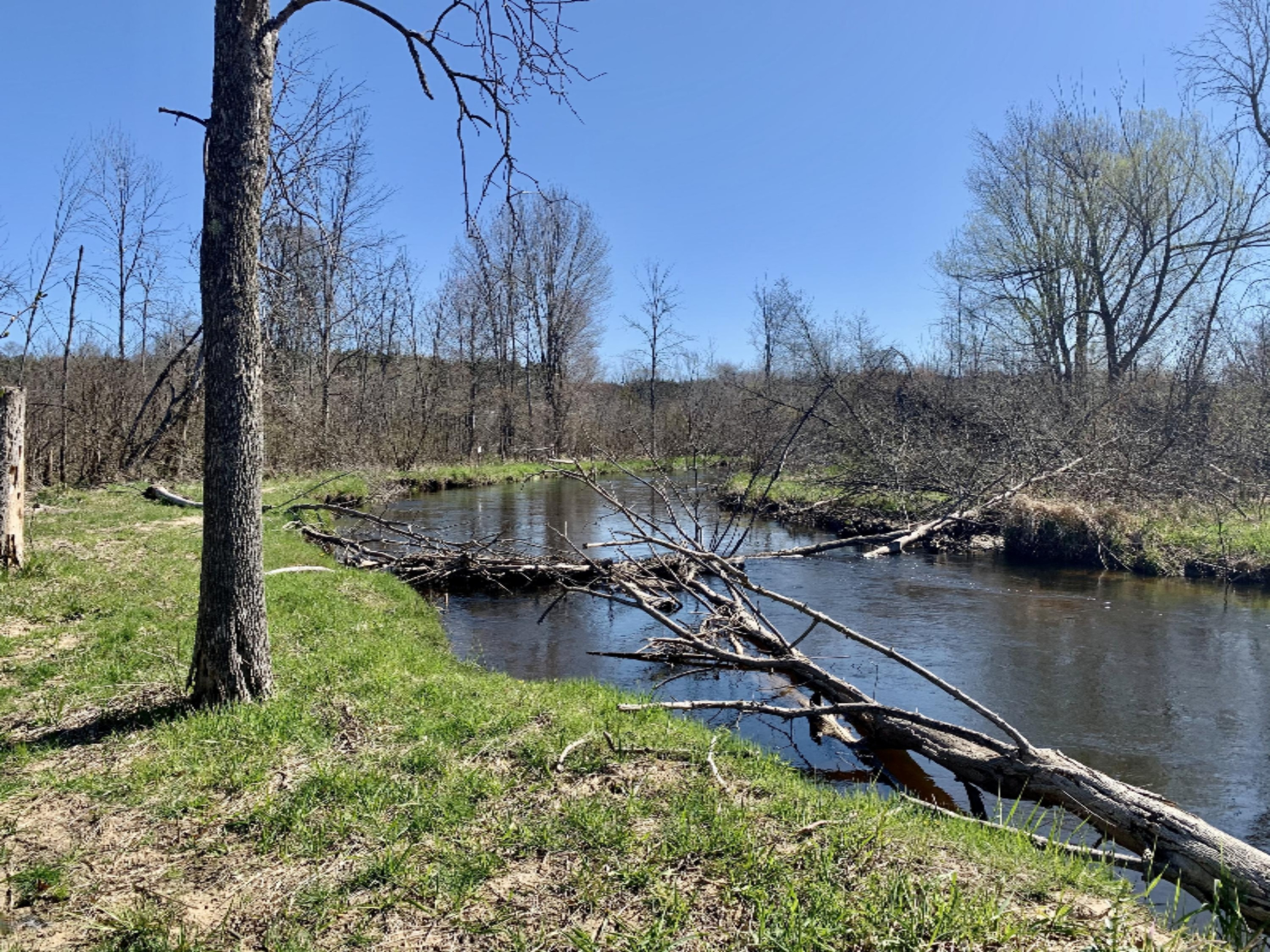 Sable River Frontage
