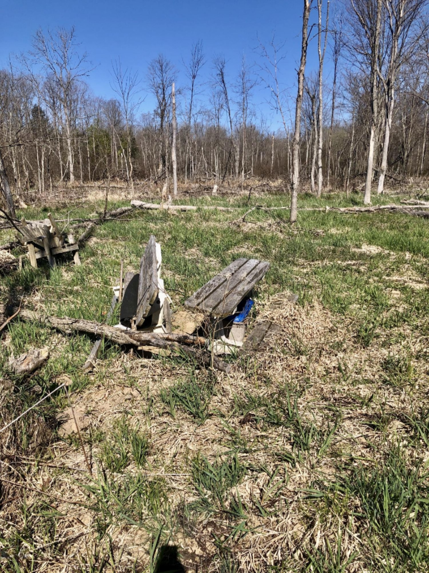 Ervine Road Free Soil, MI 49411 - Photo 4 of 15 3 ACRES