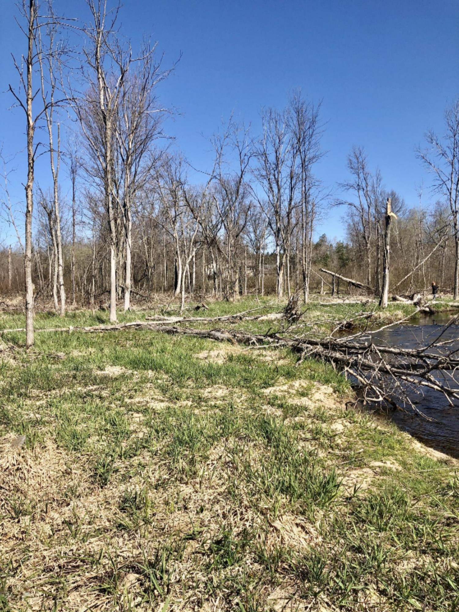 Ervine Road Free Soil, MI 49411 - Photo 5 of 15 Sandy walking area by bank
