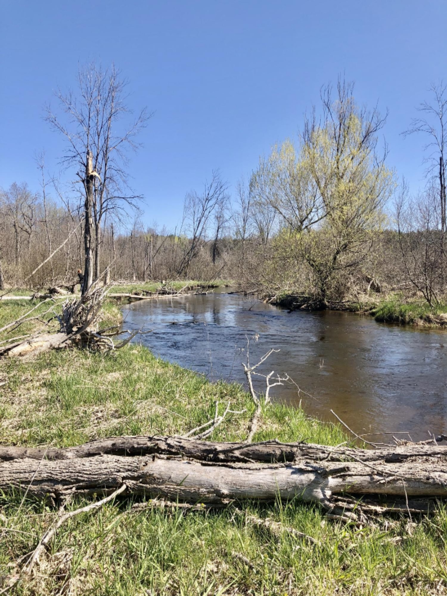 Ervine Road Free Soil, MI 49411 - Photo 7 of 15 Beautiful spot
