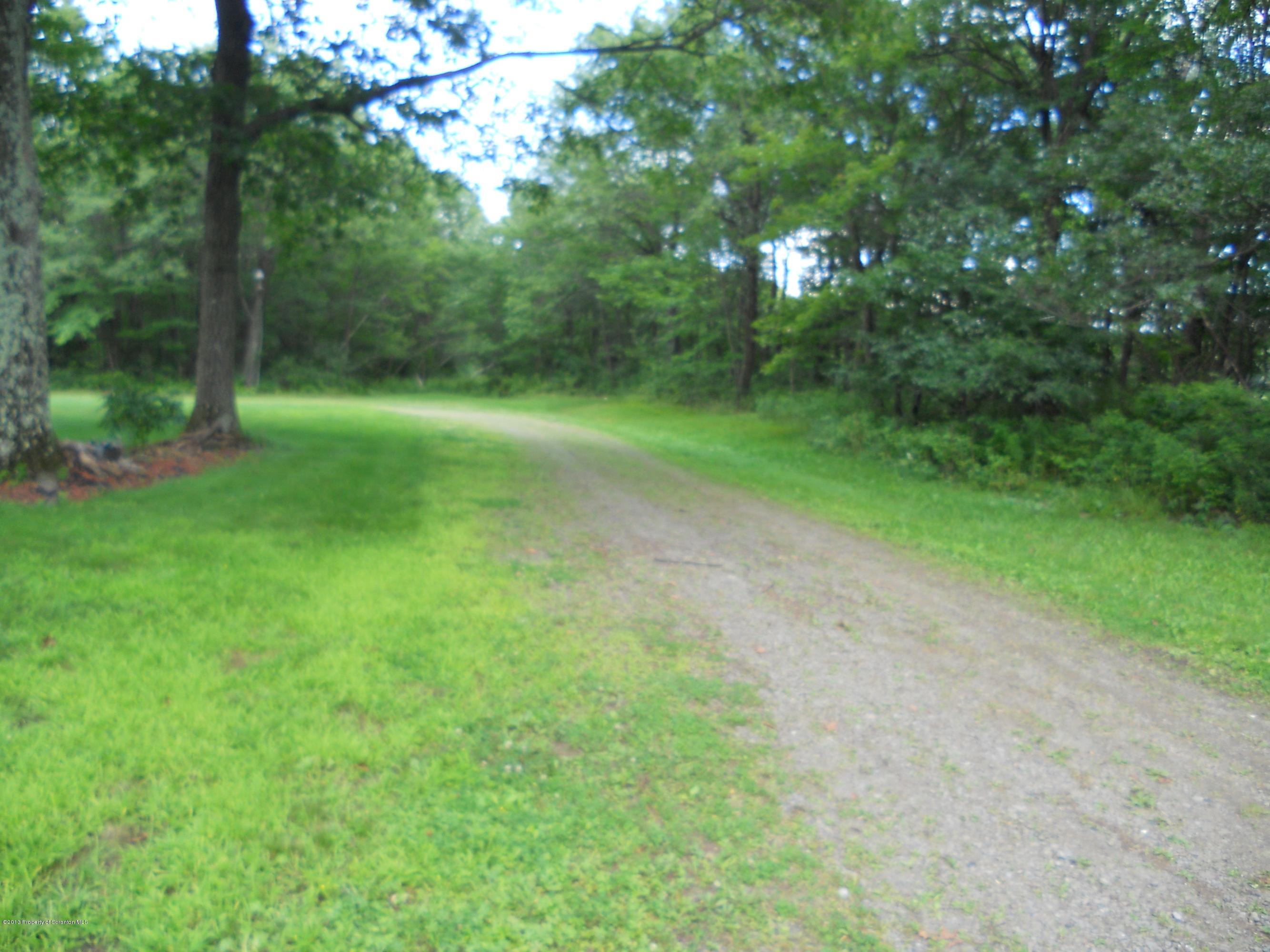 125 Fitzpatrick Road Lake Ariel, PA 18436 - Photo 5 of 61 a view of a yard with a trees