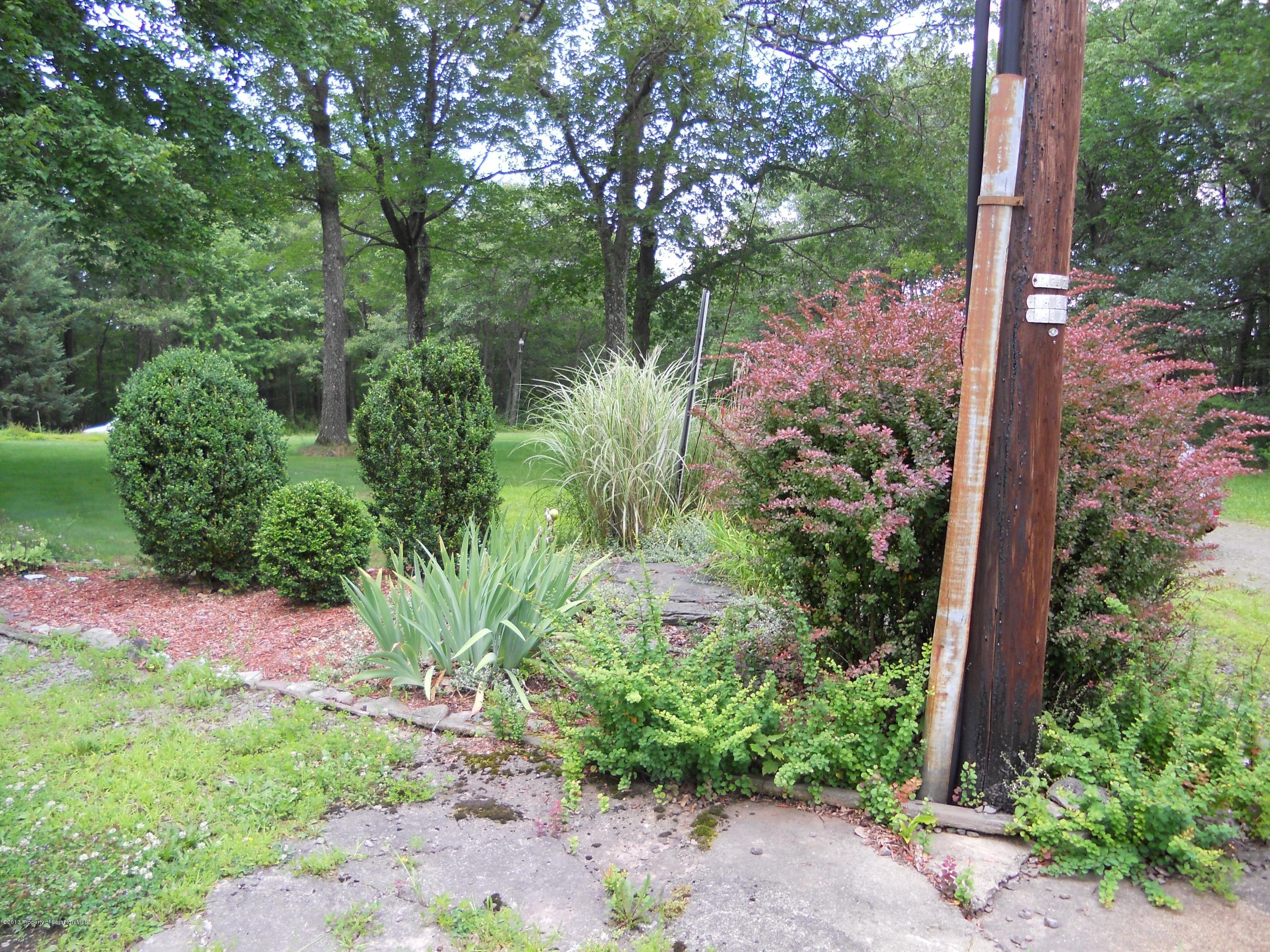 125 Fitzpatrick Road Lake Ariel, PA 18436 - Photo 6 of 61 a view of a garden