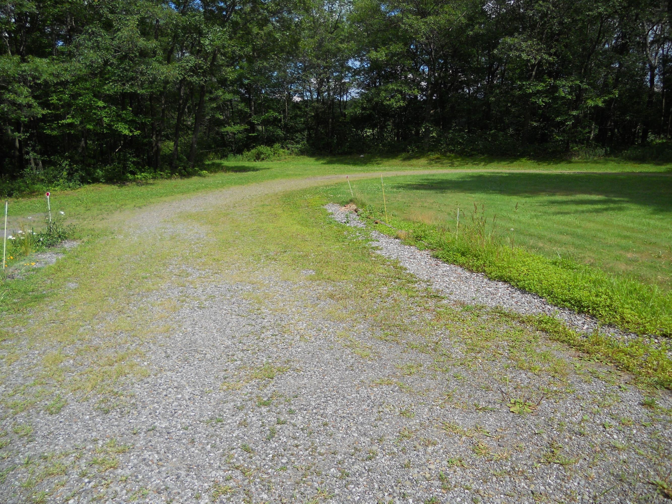 125 Fitzpatrick Road Lake Ariel, PA 18436 - Photo 8 of 61 a view of a field with trees