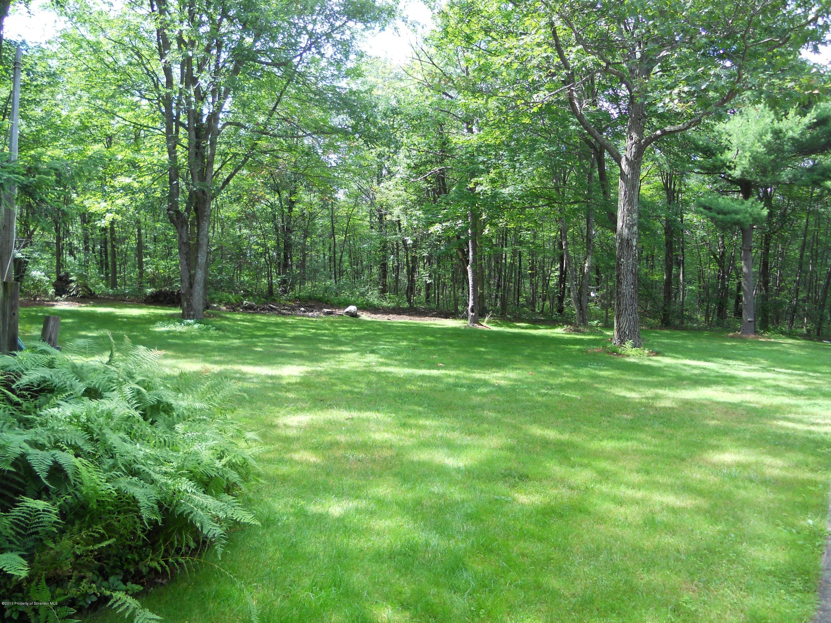 125 Fitzpatrick Road Lake Ariel, PA 18436 - Photo 9 of 61 a backyard of a house with lots of green space and deers