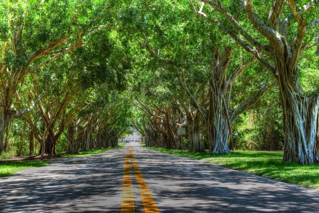 $4,999,000 | 954 Marlin Drive, Jupiter, FL 33458