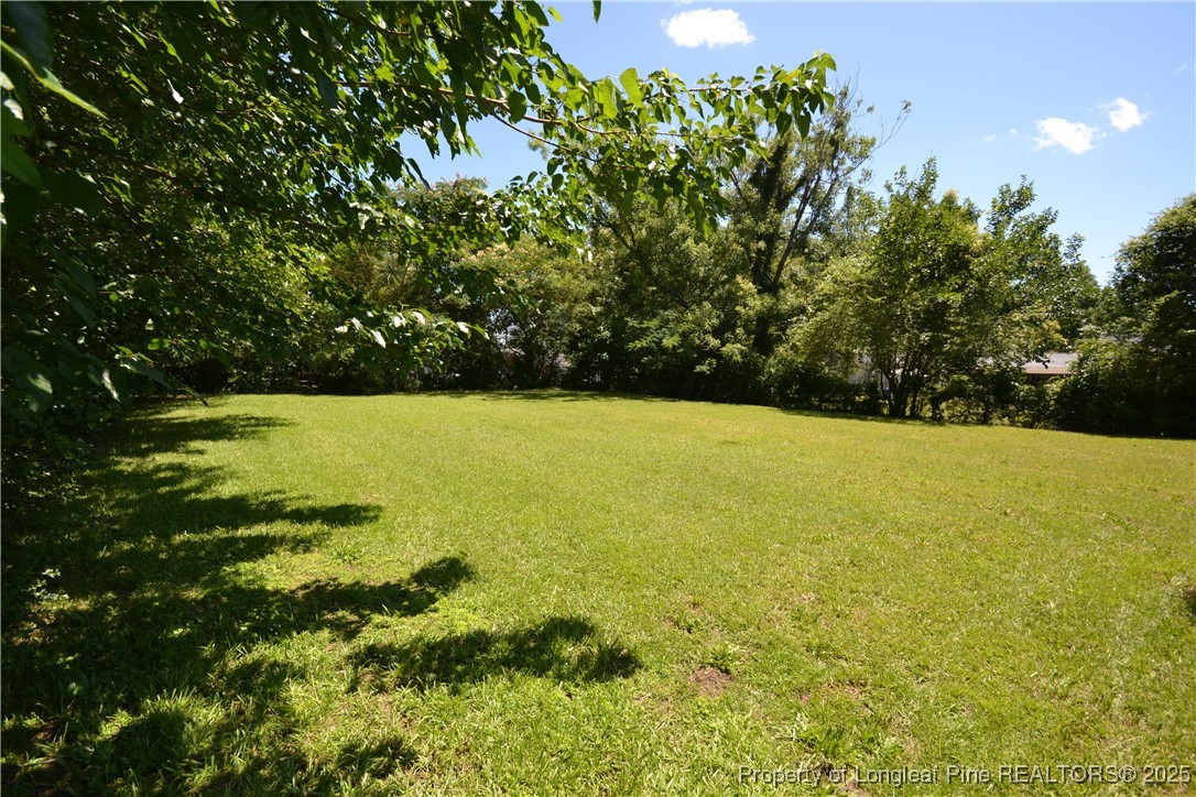 717 Friar Tuck Road Raleigh, NC 27610 - Photo 27 of 31 a view of yard with swimming pool and green space