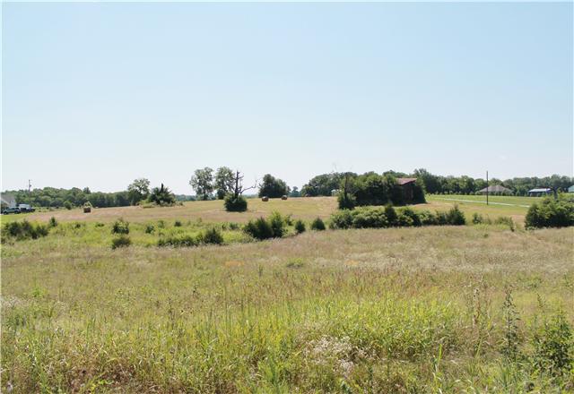 21 Moore Road Lebanon, TN 37087 - Photo 1 of 2