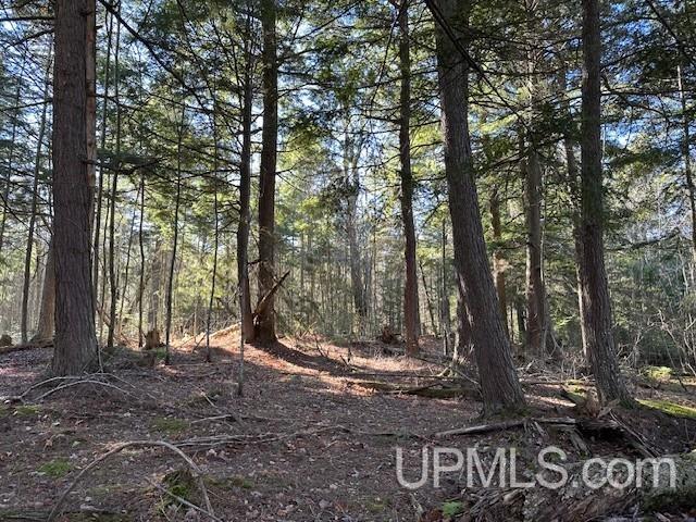 0 North Point Road Au Train, MI 49806 - Photo 19 of 20