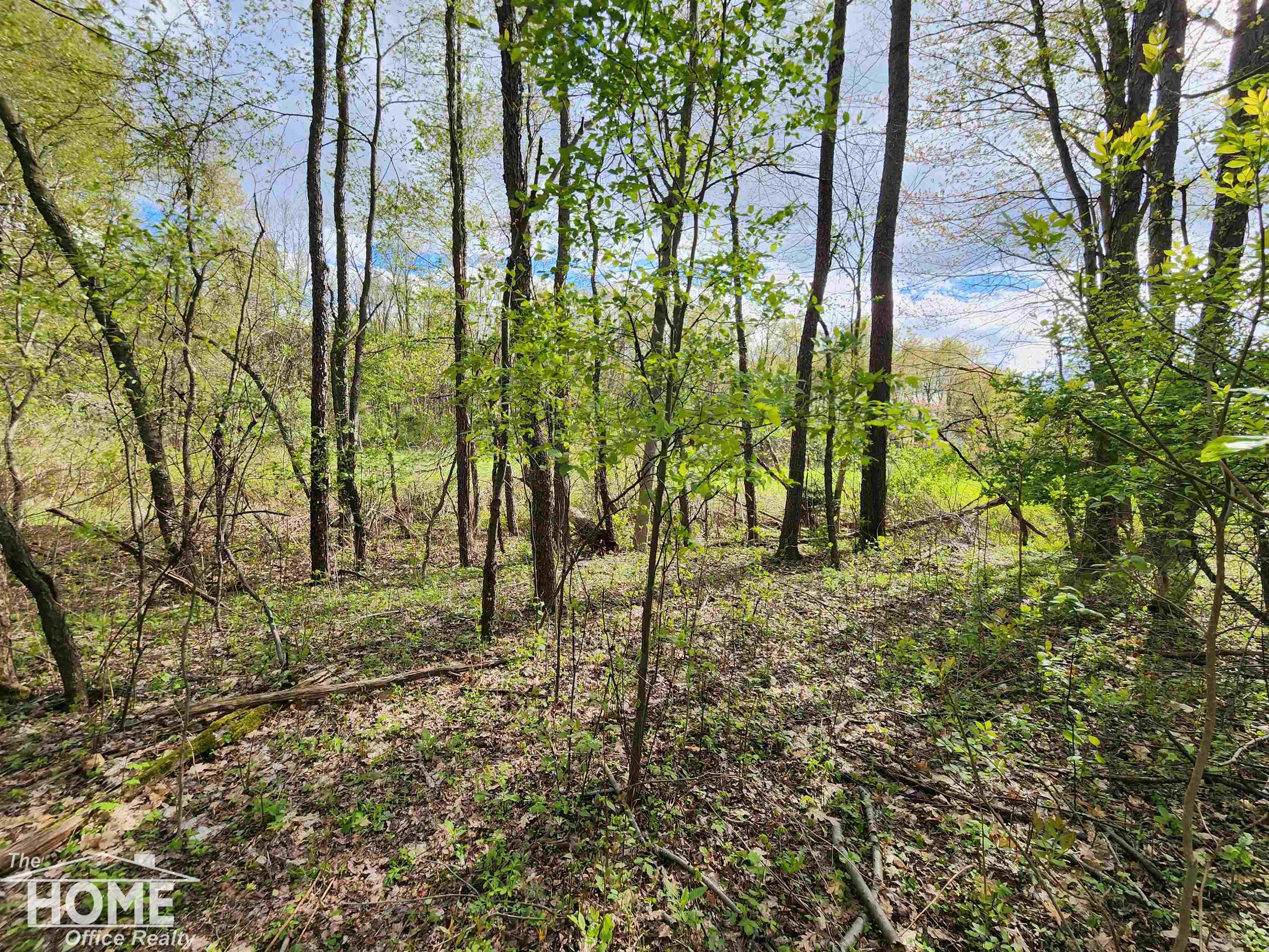 7405 West Lansing Road Shaftsburg, MI 48872 - Photo 8 of 37