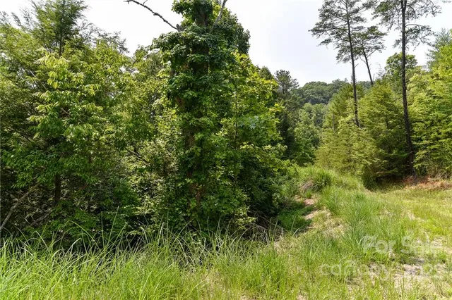 $27,500 | Lot 12 The Vines Boulevard, Unit LOT 12, Marshall, NC 28753