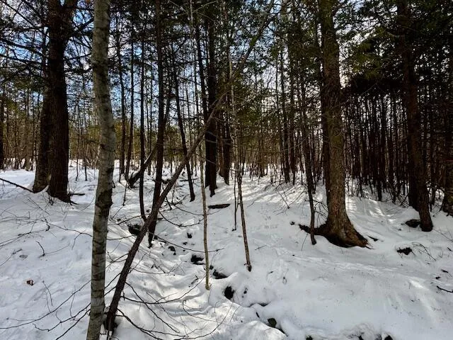 $49,000 | M9-l29 N Beckwith Road, Cornville, ME 04976