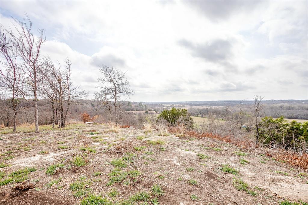 450 Quail Ridge Road Aledo, TX 76008 - Photo 14 of 22 a view of a yard with snow on the road