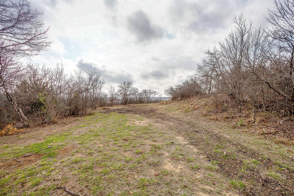450 Quail Ridge Road Aledo, TX 76008 - Photo 19 of 22 a view of a yard with an trees