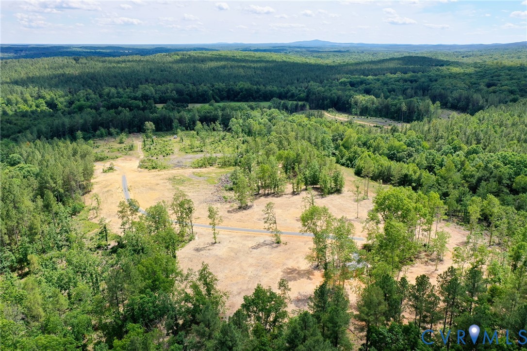 0 Mt Alto Road Esmont, VA 22937 - Photo 21 of 34