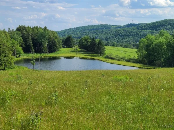 $1,200,000 | 213 Button Road, Columbus, NY 13485