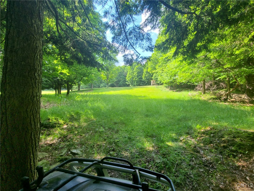 213 Button Road West Edmeston, NY 13485 - Photo 16 of 31