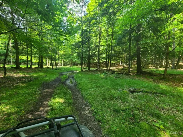 $1,200,000 | 213 Button Road, Columbus, NY 13485