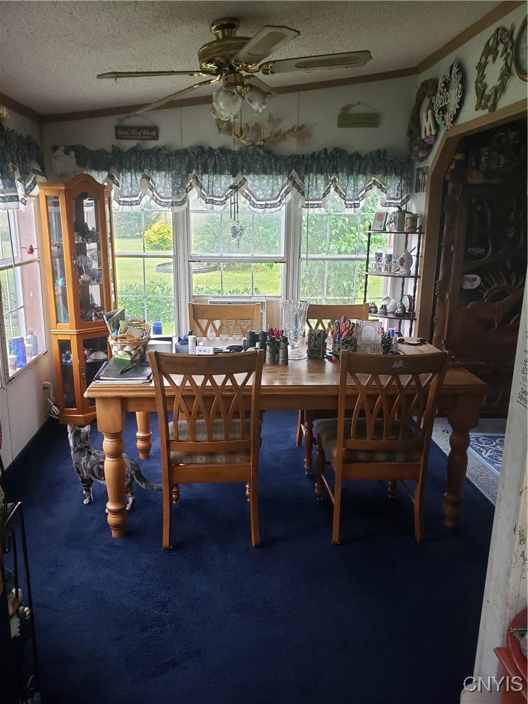 213 Button Road West Edmeston, NY 13485 - Photo 26 of 31