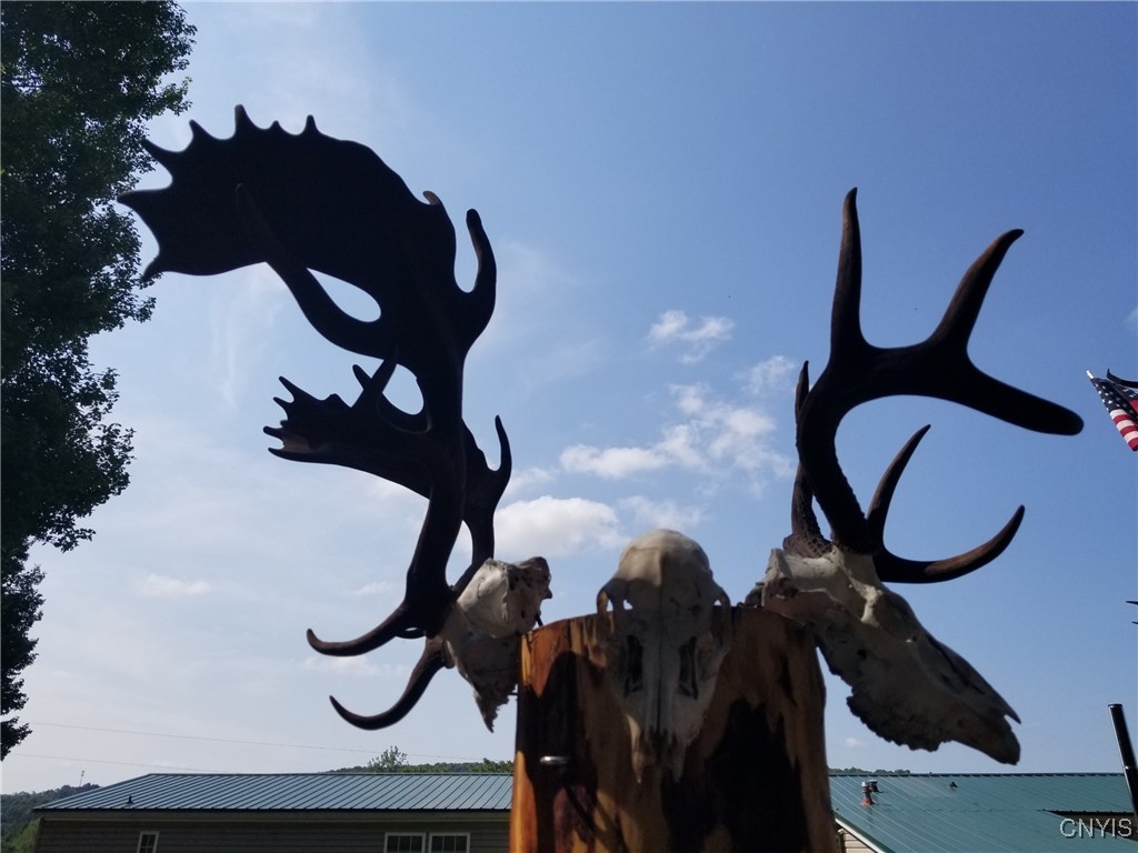 213 Button Road West Edmeston, NY 13485 - Photo 3 of 31