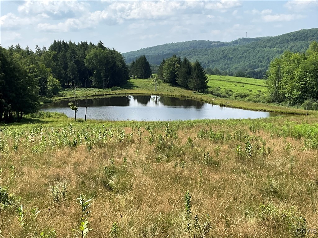 213 Button Road West Edmeston, NY 13485 - Photo 31 of 31