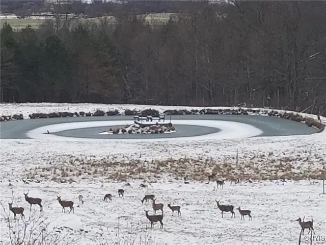 $1,200,000 | 213 Button Road, Columbus, NY 13485