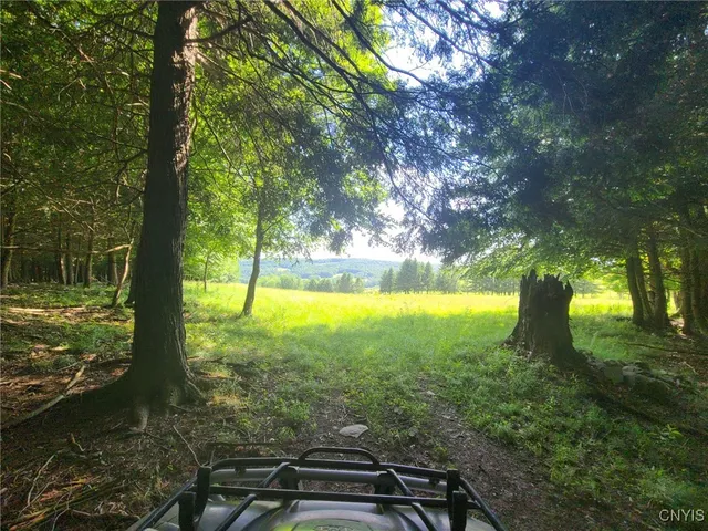 $1,200,000 | 213 Button Road, Columbus, NY 13485