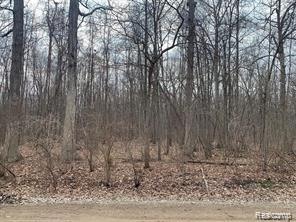 44235 Wear Road Belleville, MI 48111 - Photo 1 of 2