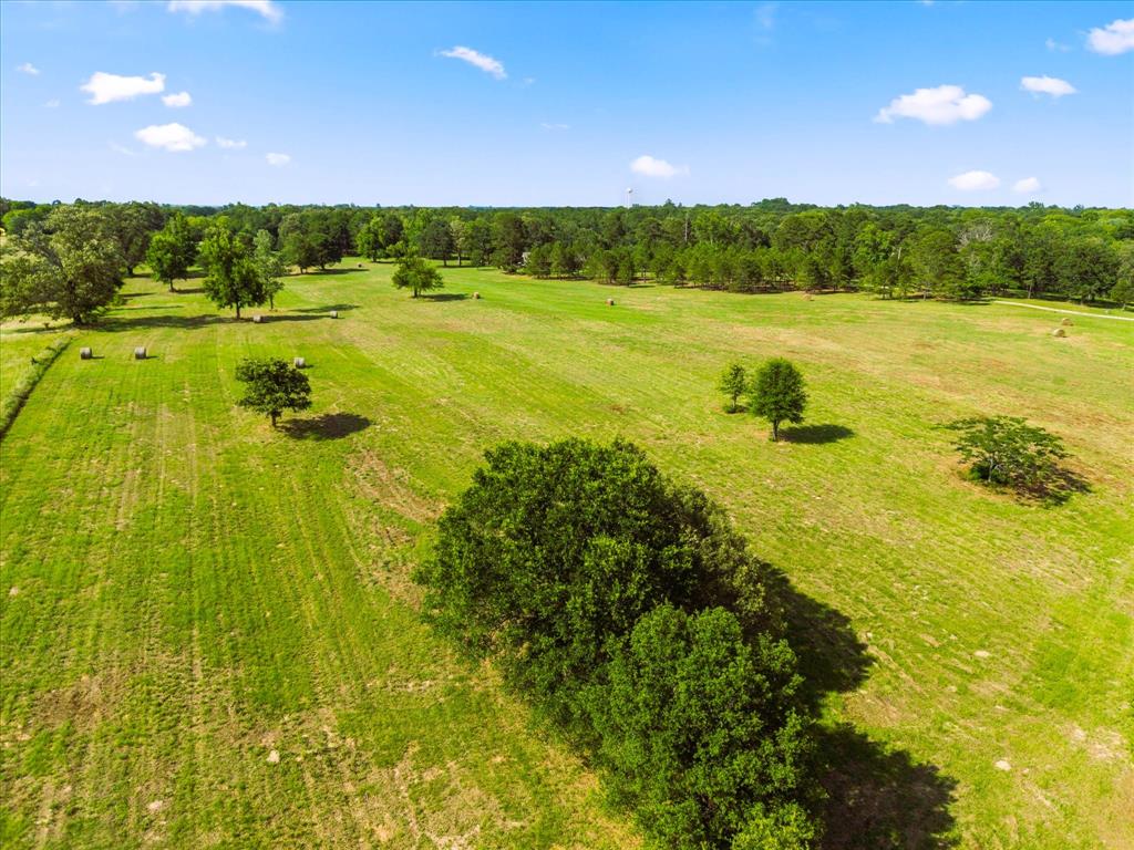 4940 North Frontage Road Winfield, TX 75455 - Photo 38 of 40 Harvest Hay with All of this Cleared Land!