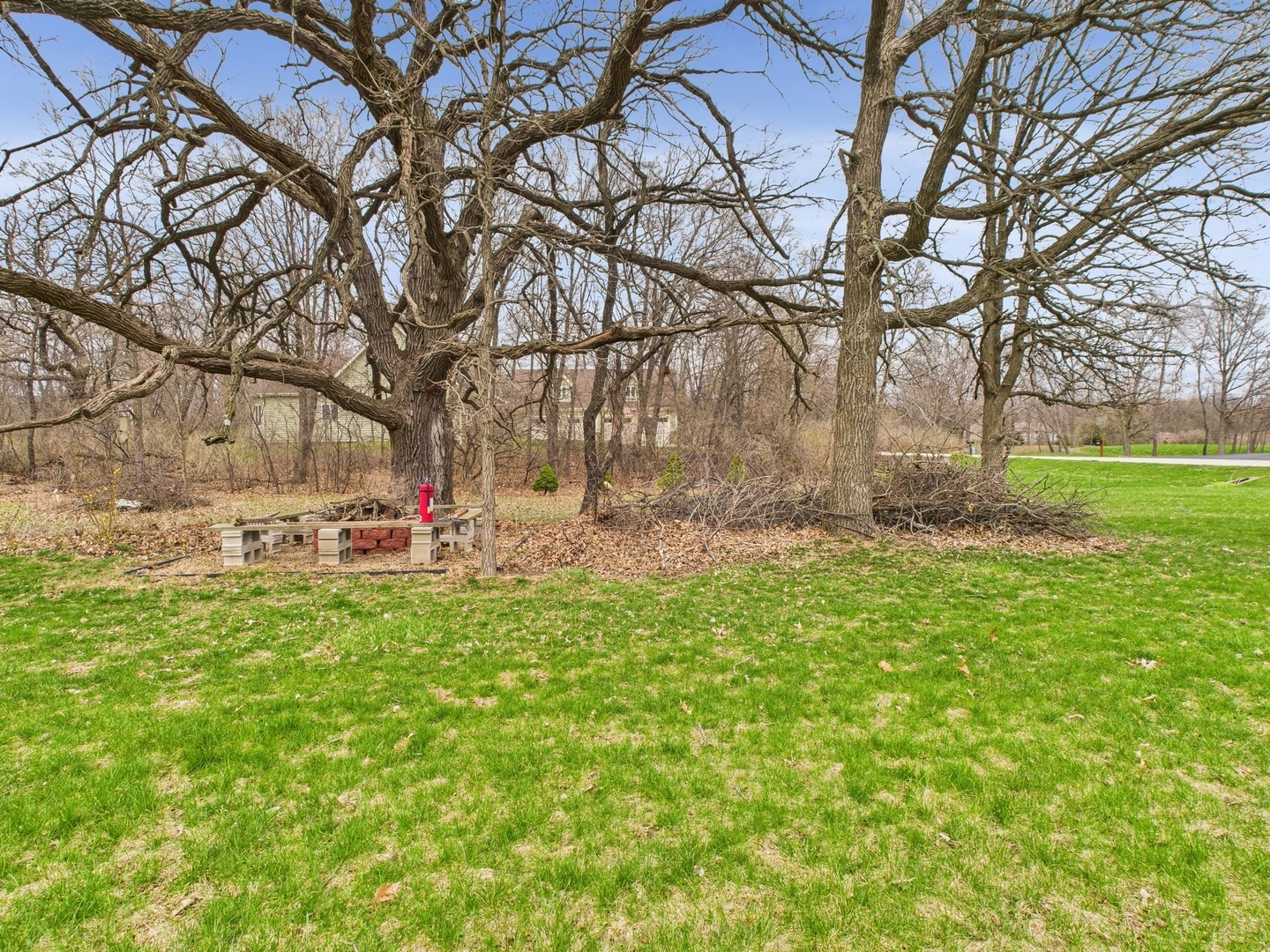15840 Overlook Lane Huntley, IL 60142 - Photo 34 of 42 a view of yard with tree
