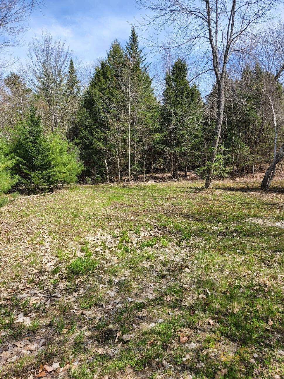 Tbd Dead River Road Bowdoin, ME 04287 - Photo 2 of 3 unnamed (2)
