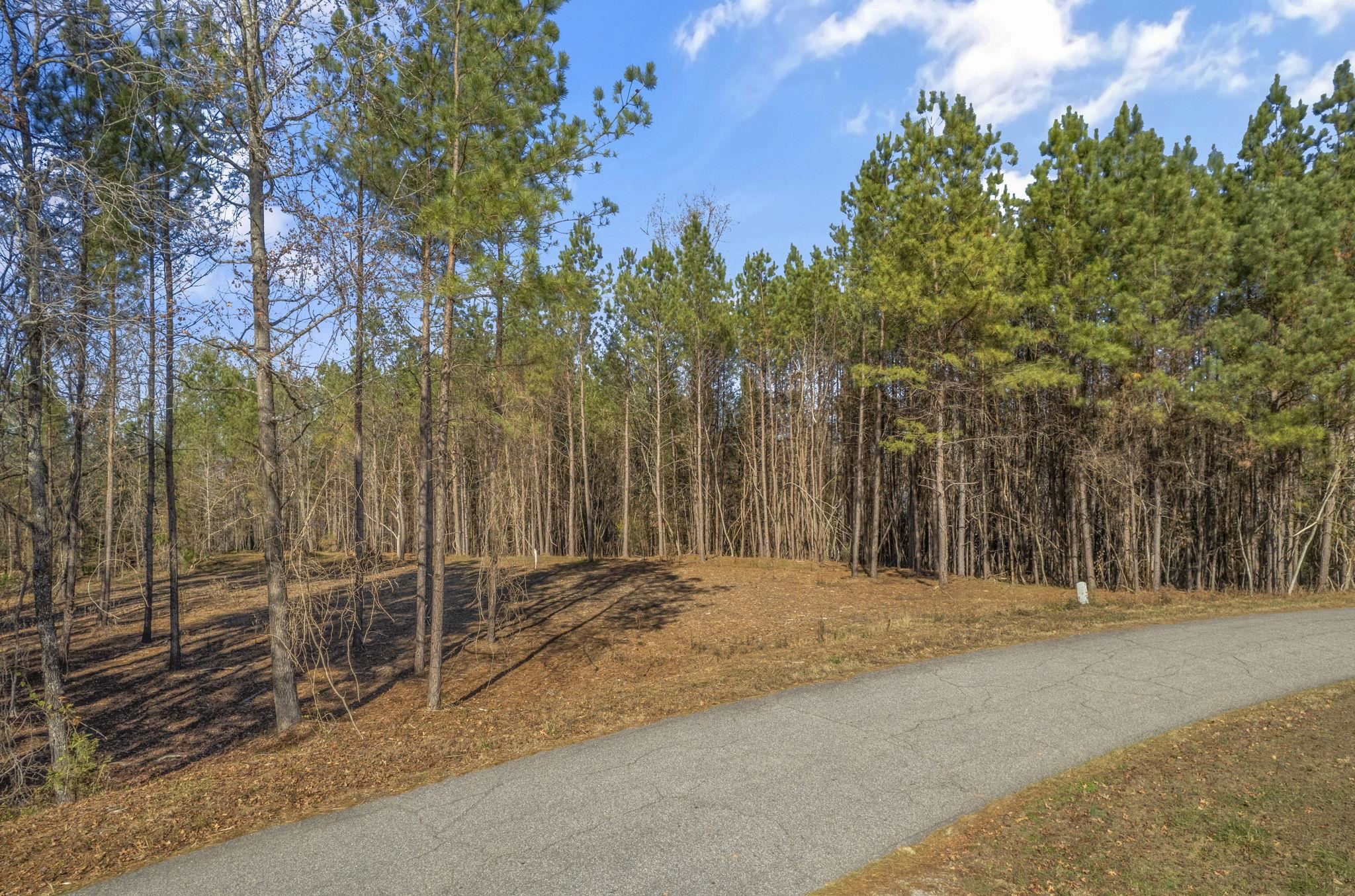 Lot 36 Rock Hill Inman, SC 29349 - Photo 2 of 12